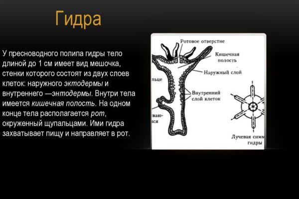 Как вывести деньги с кракена