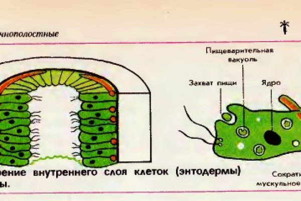 Кракен даркнет маркетплейс