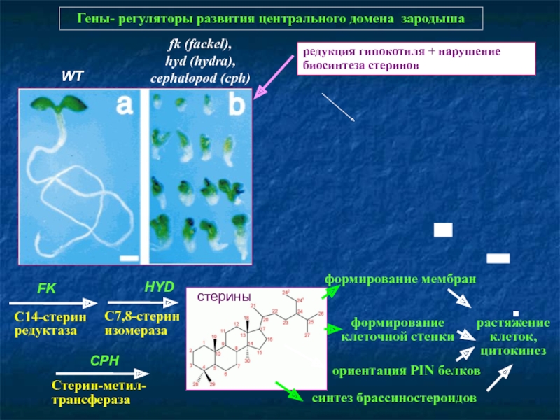 Площадка кракен kraken clear com